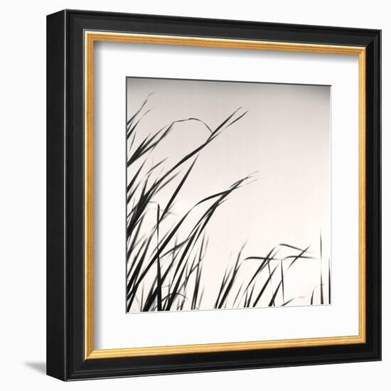 Beaver Pond, Study #1-Andrew Ren-Framed Art Print