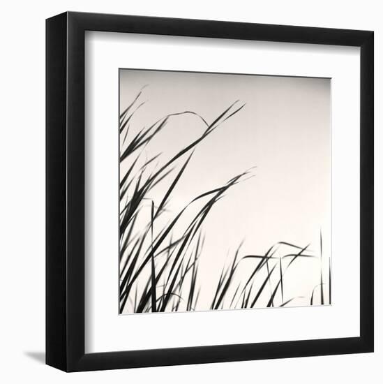 Beaver Pond, Study #1-Andrew Ren-Framed Art Print