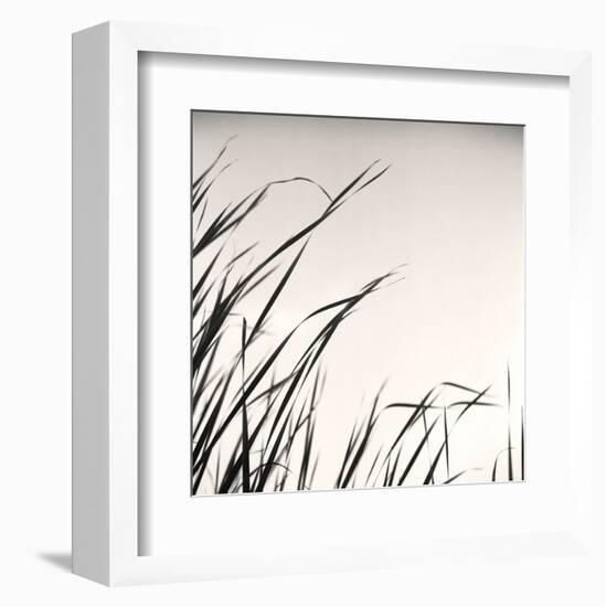 Beaver Pond, Study #1-Andrew Ren-Framed Art Print