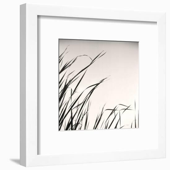 Beaver Pond, Study #1-Andrew Ren-Framed Art Print