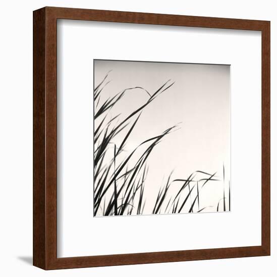 Beaver Pond, Study #1-Andrew Ren-Framed Art Print