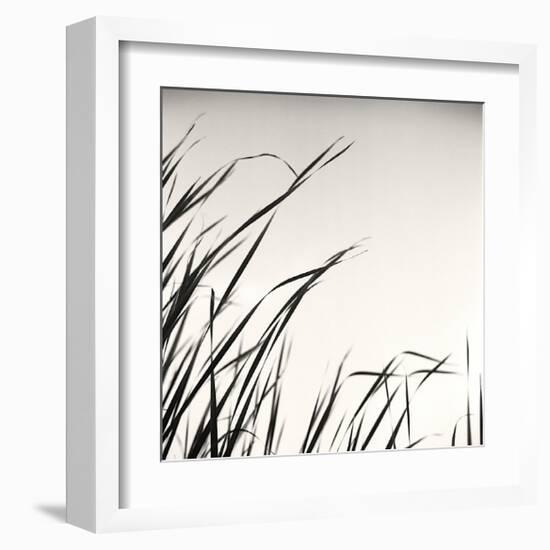 Beaver Pond, Study, no. 1-Andrew Ren-Framed Giclee Print