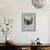 Beaver & River, Salem, Oregon-Lantern Press-Framed Premium Giclee Print displayed on a wall