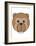 Beaver-null-Framed Art Print