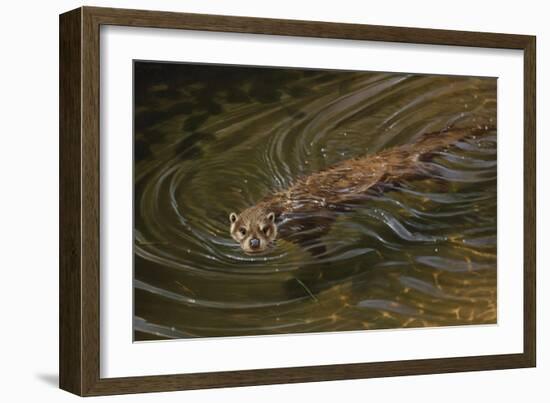 Beaver-Michael Jackson-Framed Giclee Print