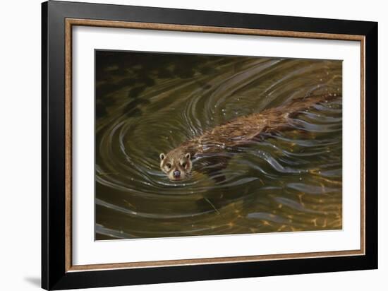 Beaver-Michael Jackson-Framed Giclee Print