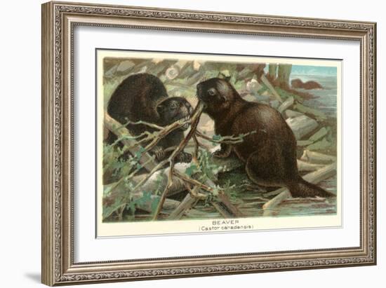 Beavers Building Dam-null-Framed Art Print