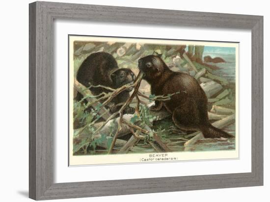 Beavers Building Dam-null-Framed Art Print