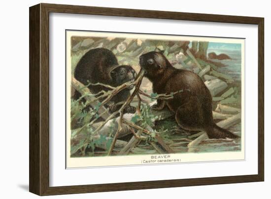 Beavers Building Dam-null-Framed Art Print