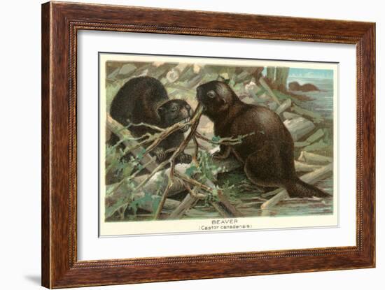 Beavers Building Dam-null-Framed Art Print