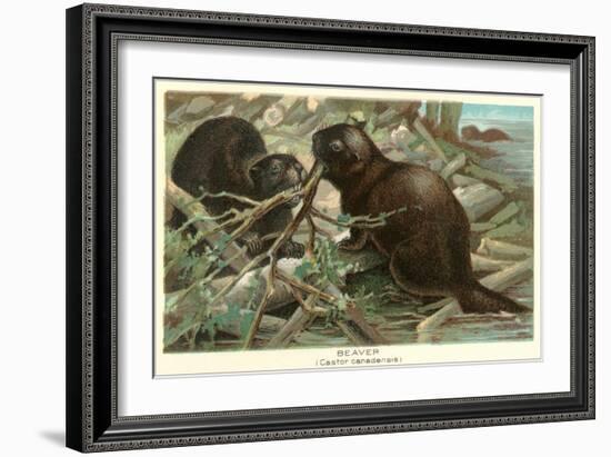 Beavers Building Dam-null-Framed Art Print