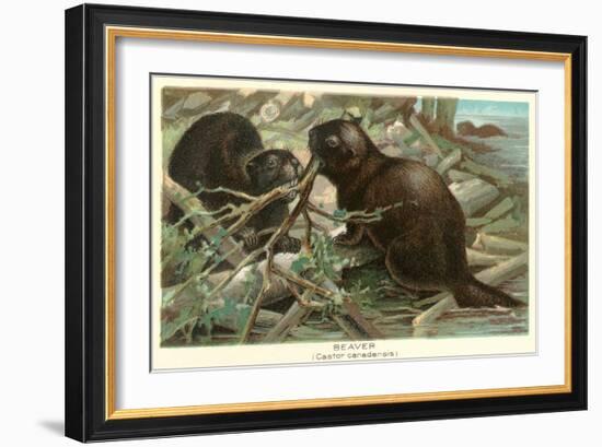 Beavers Building Dam-null-Framed Art Print