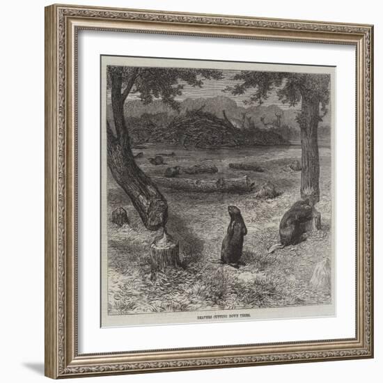 Beavers Cutting Down Trees-null-Framed Giclee Print