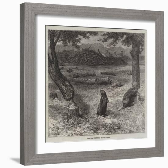 Beavers Cutting Down Trees-null-Framed Giclee Print