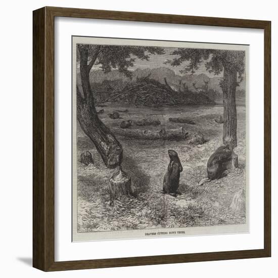 Beavers Cutting Down Trees-null-Framed Giclee Print