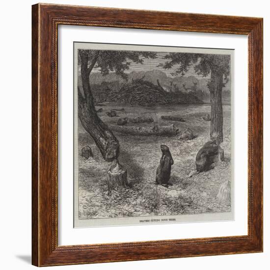 Beavers Cutting Down Trees-null-Framed Giclee Print