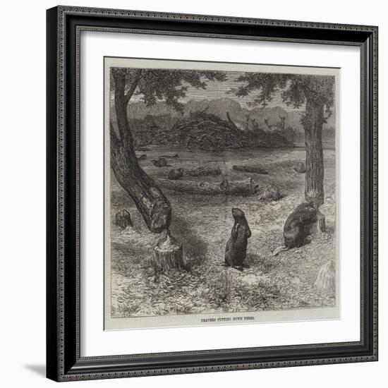 Beavers Cutting Down Trees-null-Framed Giclee Print