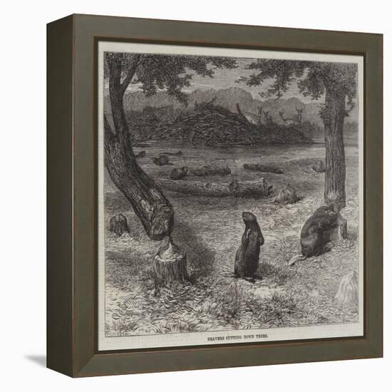 Beavers Cutting Down Trees-null-Framed Premier Image Canvas