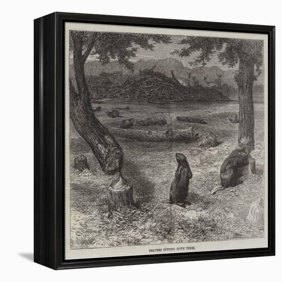 Beavers Cutting Down Trees-null-Framed Premier Image Canvas