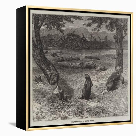Beavers Cutting Down Trees-null-Framed Premier Image Canvas
