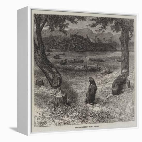 Beavers Cutting Down Trees-null-Framed Premier Image Canvas