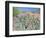 Beavertail Cactus, Joshua Tree National Park, California, USA-Rob Tilley-Framed Photographic Print