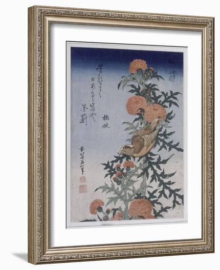 Bec croisé et chardon-Katsushika Hokusai-Framed Giclee Print