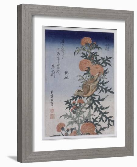 Bec croisé et chardon-Katsushika Hokusai-Framed Giclee Print