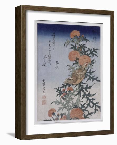 Bec croisé et chardon-Katsushika Hokusai-Framed Giclee Print