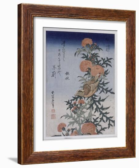 Bec croisé et chardon-Katsushika Hokusai-Framed Giclee Print