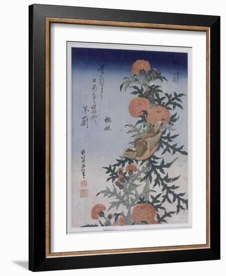 Bec croisé et chardon-Katsushika Hokusai-Framed Giclee Print