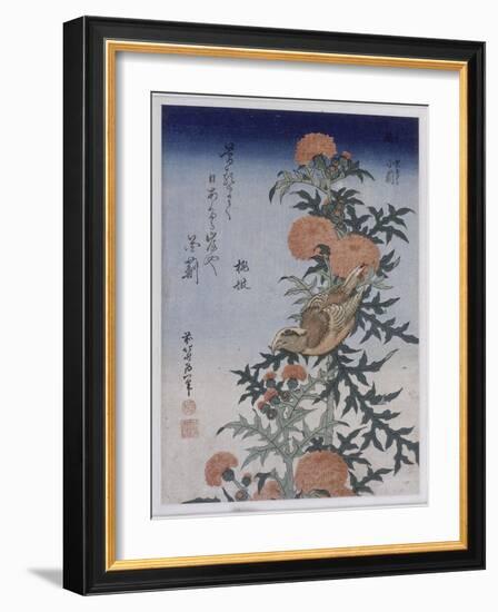 Bec croisé et chardon-Katsushika Hokusai-Framed Giclee Print