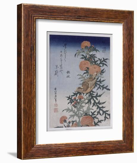 Bec croisé et chardon-Katsushika Hokusai-Framed Giclee Print