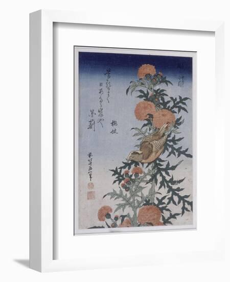 Bec croisé et chardon-Katsushika Hokusai-Framed Giclee Print