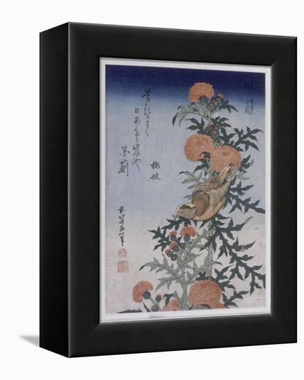 Bec croisé et chardon-Katsushika Hokusai-Framed Premier Image Canvas
