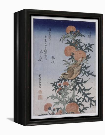 Bec croisé et chardon-Katsushika Hokusai-Framed Premier Image Canvas