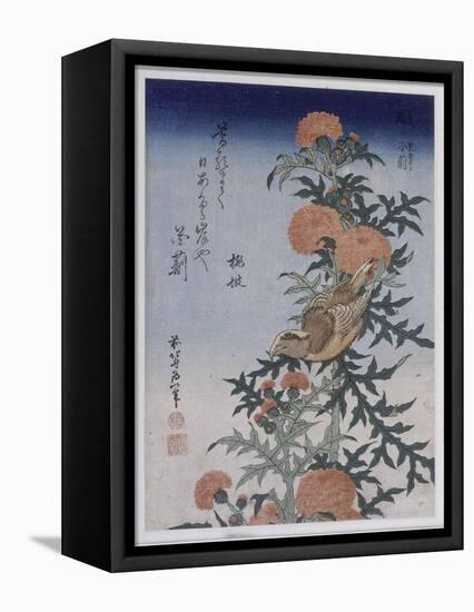 Bec croisé et chardon-Katsushika Hokusai-Framed Premier Image Canvas