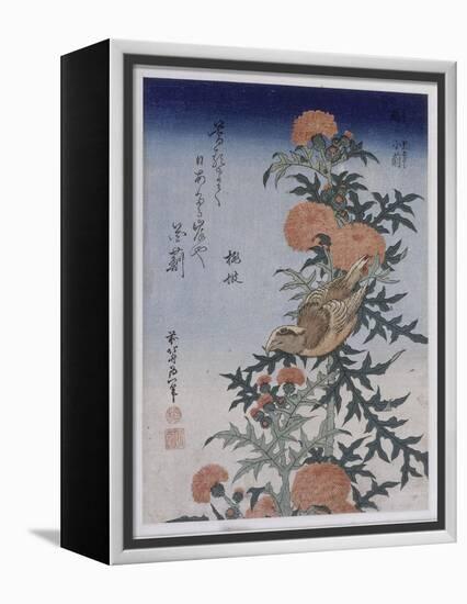 Bec croisé et chardon-Katsushika Hokusai-Framed Premier Image Canvas