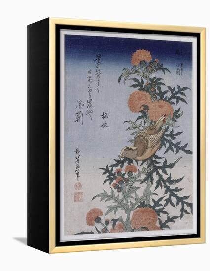 Bec croisé et chardon-Katsushika Hokusai-Framed Premier Image Canvas