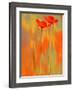 Because of You 1-Philippe Sainte-Laudy-Framed Photographic Print