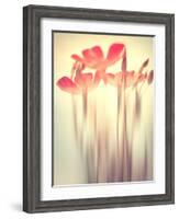 Because of You 2-Philippe Sainte-Laudy-Framed Photographic Print