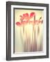 Because of You 2-Philippe Sainte-Laudy-Framed Photographic Print