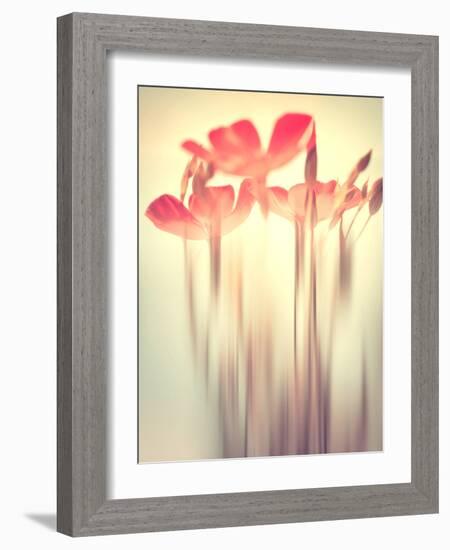 Because of You 2-Philippe Sainte-Laudy-Framed Photographic Print