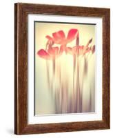 Because of You 2-Philippe Sainte-Laudy-Framed Photographic Print