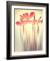 Because of You 2-Philippe Sainte-Laudy-Framed Photographic Print