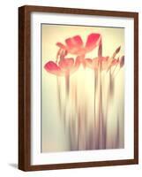 Because of You 2-Philippe Sainte-Laudy-Framed Photographic Print