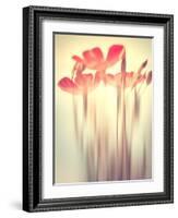 Because of You 2-Philippe Sainte-Laudy-Framed Photographic Print