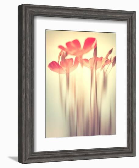 Because of You 2-Philippe Sainte-Laudy-Framed Photographic Print