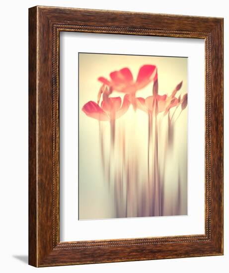 Because of You 2-Philippe Sainte-Laudy-Framed Photographic Print