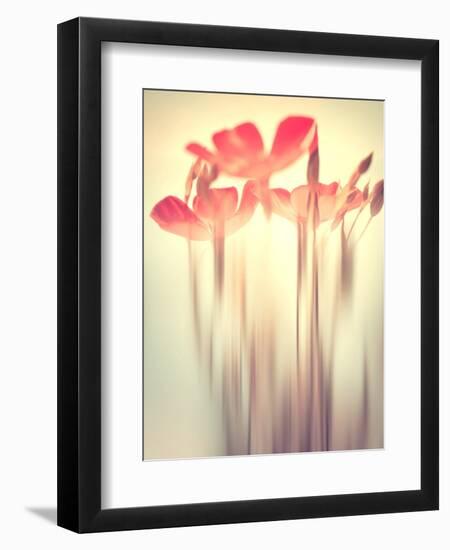 Because of You 2-Philippe Sainte-Laudy-Framed Photographic Print